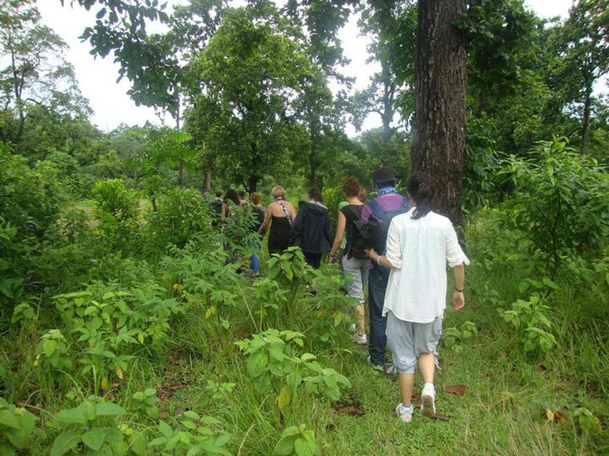 Hotel Rainforest โซราฮา ภายนอก รูปภาพ