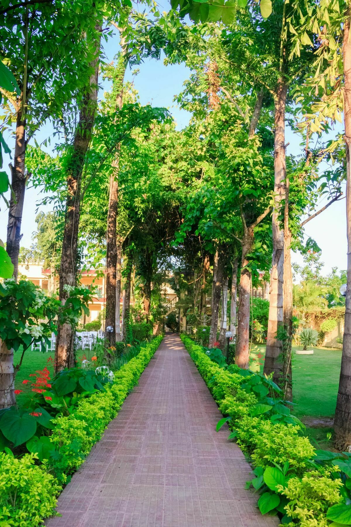 Hotel Rainforest โซราฮา ภายนอก รูปภาพ