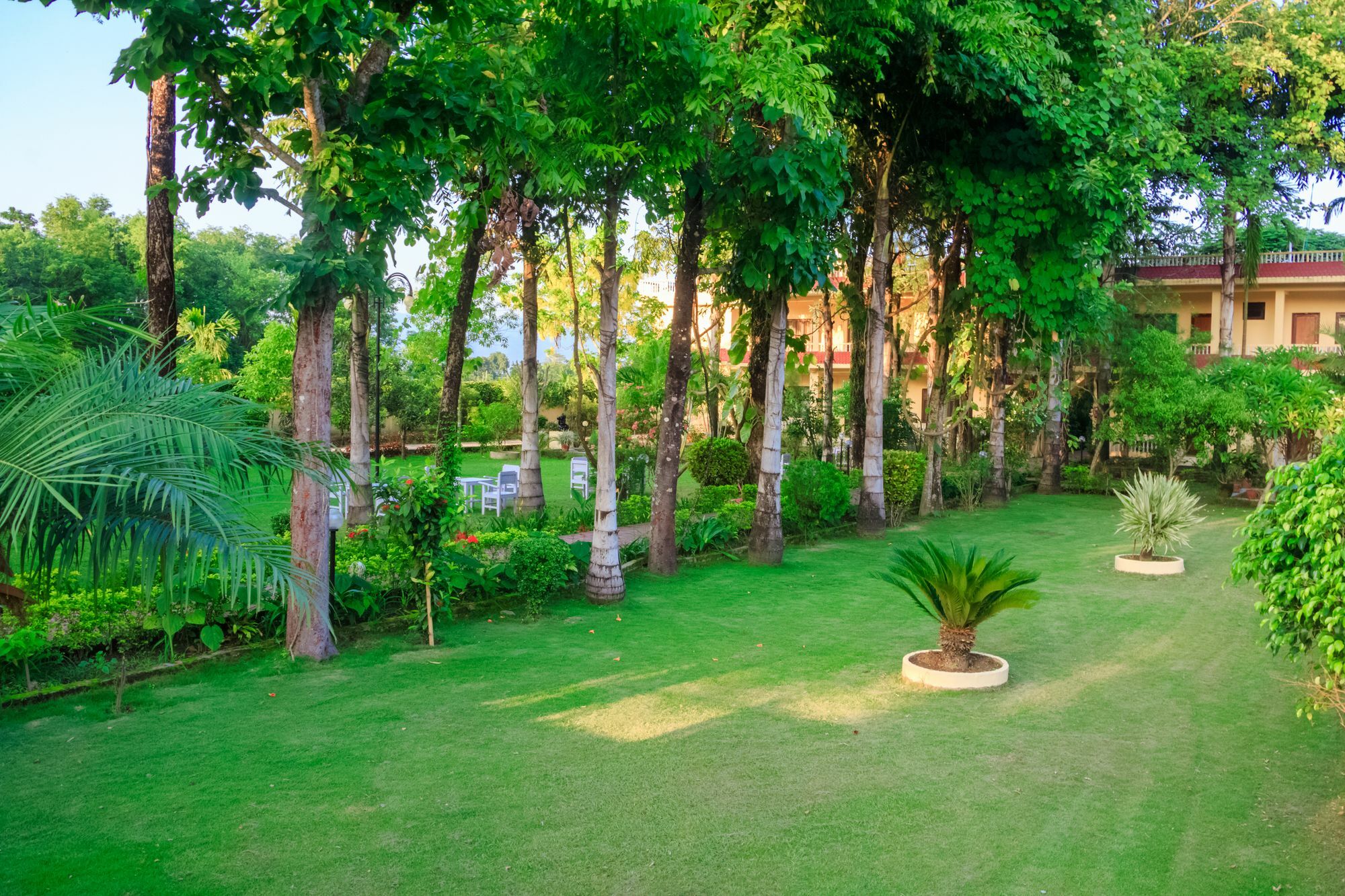 Hotel Rainforest โซราฮา ภายนอก รูปภาพ